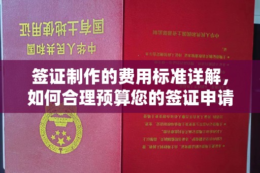 泰来签证制作的费用标准详解，如何合理预算您的签证申请成本